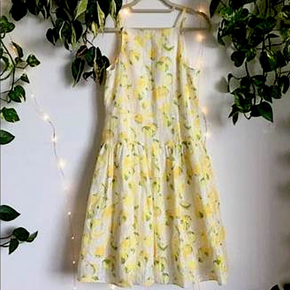 Ann Taylor Lemon Drop Sleeveless Print Fit And Flare Dress